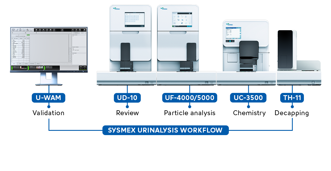 [.IT-it Italy (italian)] Sysmex urinalysis workflow (fully automated)